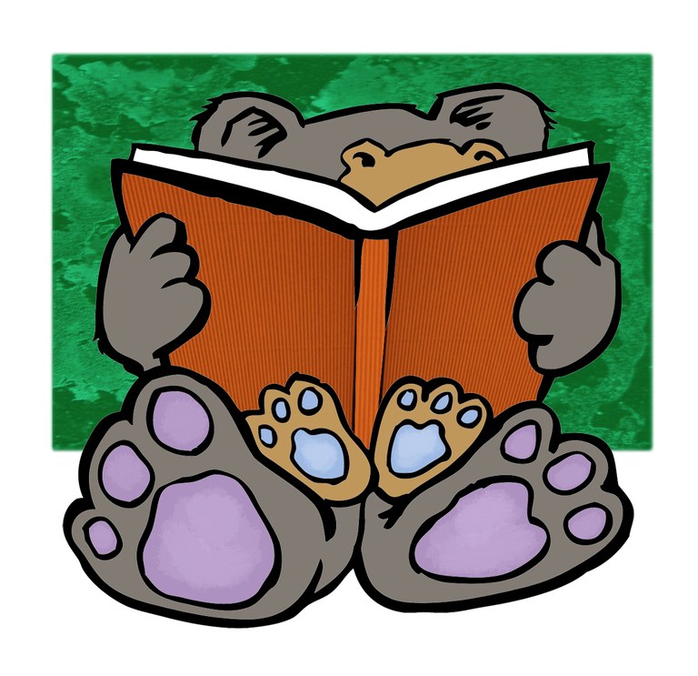 bear reading