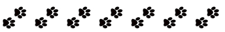 dog paw print border