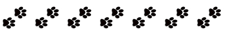 dog paw print border