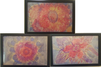 SRC Activity for Grown-ups