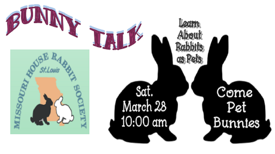 Bunny Talk March 2020 Carousel.png