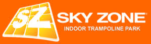skyzone logo