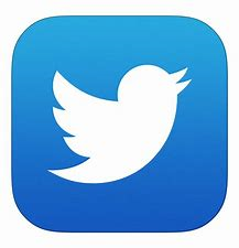 twitter logo.png